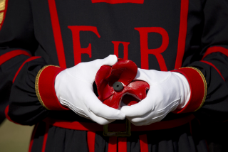 Illustration for article titled 888,246 Handmade Poppies Surround the Tower of London to Commemorate WWI